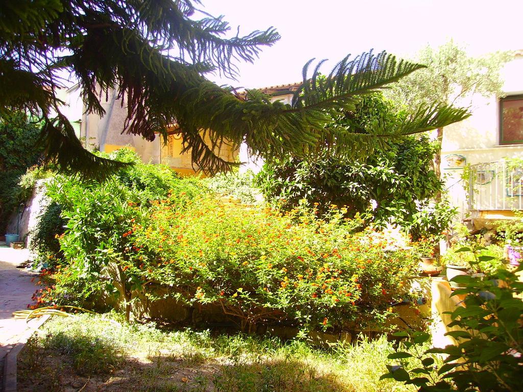 L'Antica Cantina Usini Luaran gambar